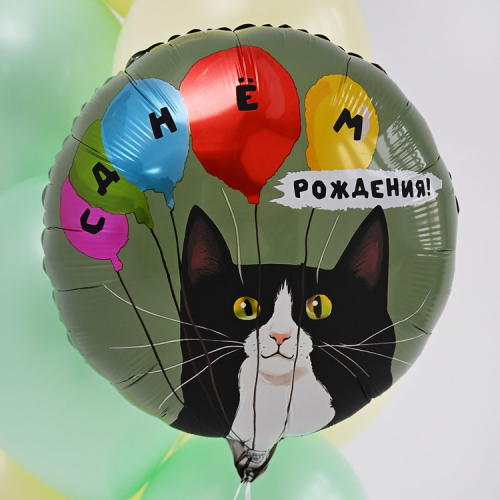 Шар Круг Кот и воздушные шары